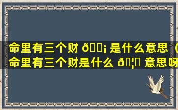 命里有三个财 🐡 是什么意思（命里有三个财是什么 🦊 意思呀）